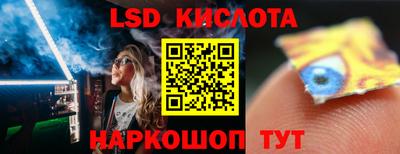 спиды Гай