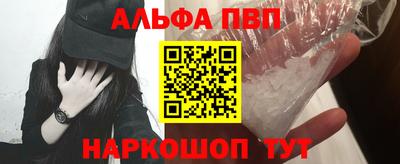спиды Гай