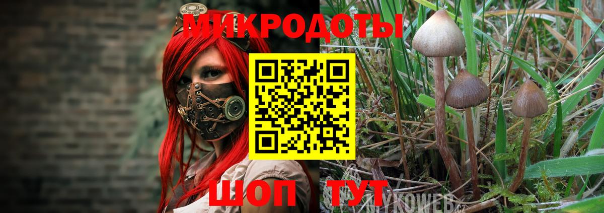 где купить наркотик  Вход с VPN  Мичуринск  Галлюциногенные грибы мухоморы 